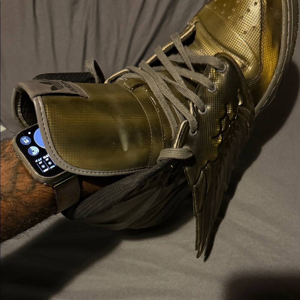 Jeremy Scott x Adidas Metallic Gold Wing Sneakers - Picture 6 of 6